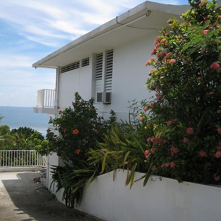 A Seascape Guest Room Fajardo Bagian luar foto